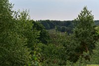 DSC 8327